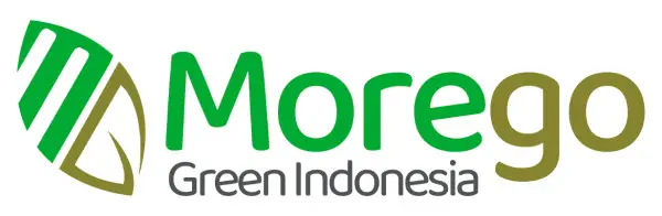 Morego Logo